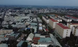 Phát hiện hàng chục công trình 'vây' hành lang đường dây 110kV ở Đồng Nai
