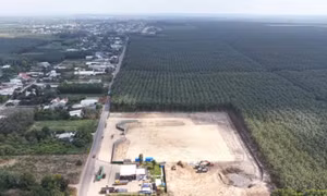 Đồng Nai ra 'tối hậu thư' về tiến độ 3 dự án khu công nghiệp trọng điểm