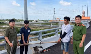 Bắt hai đối tượng trộm dây điện trên cao tốc ở Đồng Nai