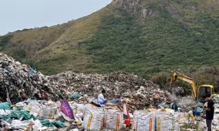 Bãi bỏ quyết định chuyển 1,92 ha rừng Côn Đảo làm nhà máy xử lý rác