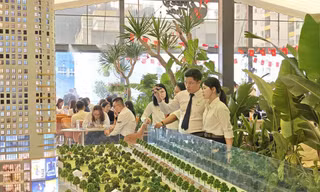 Nhà đầu tư vàng, chứng khoán đi 'tàu lượn', vì sao bất động sản hút dòng tiền?