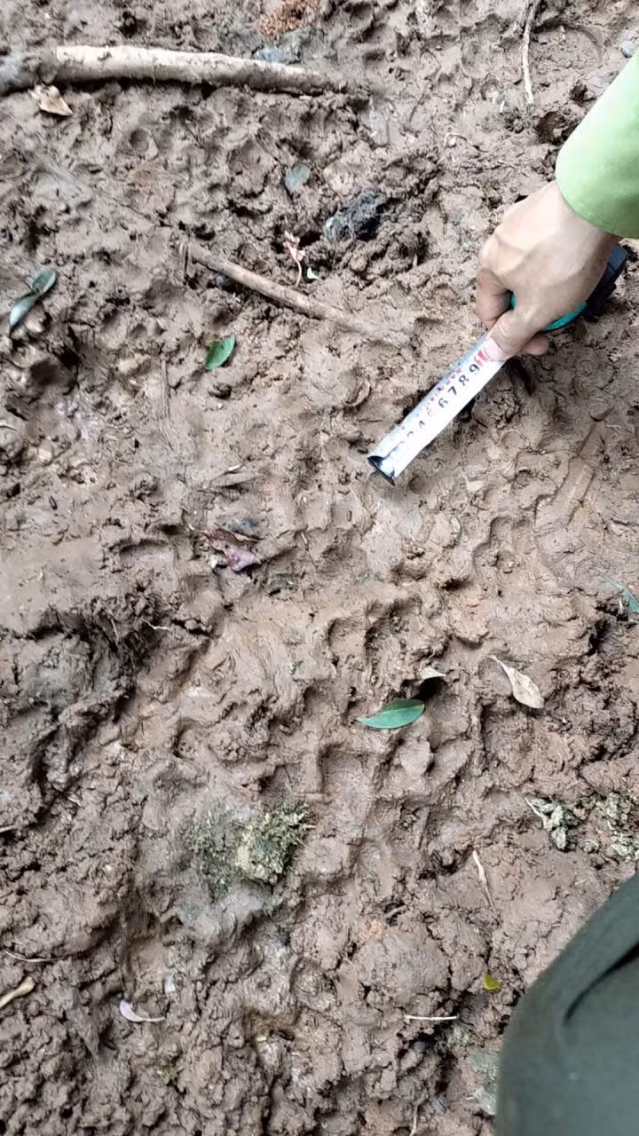 z6898038235281-6cbbd1d68f97895ae53a0071253f1fc3.jpg