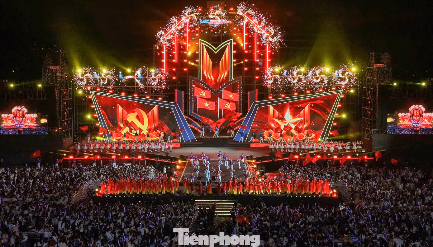tp-lp31.jpg