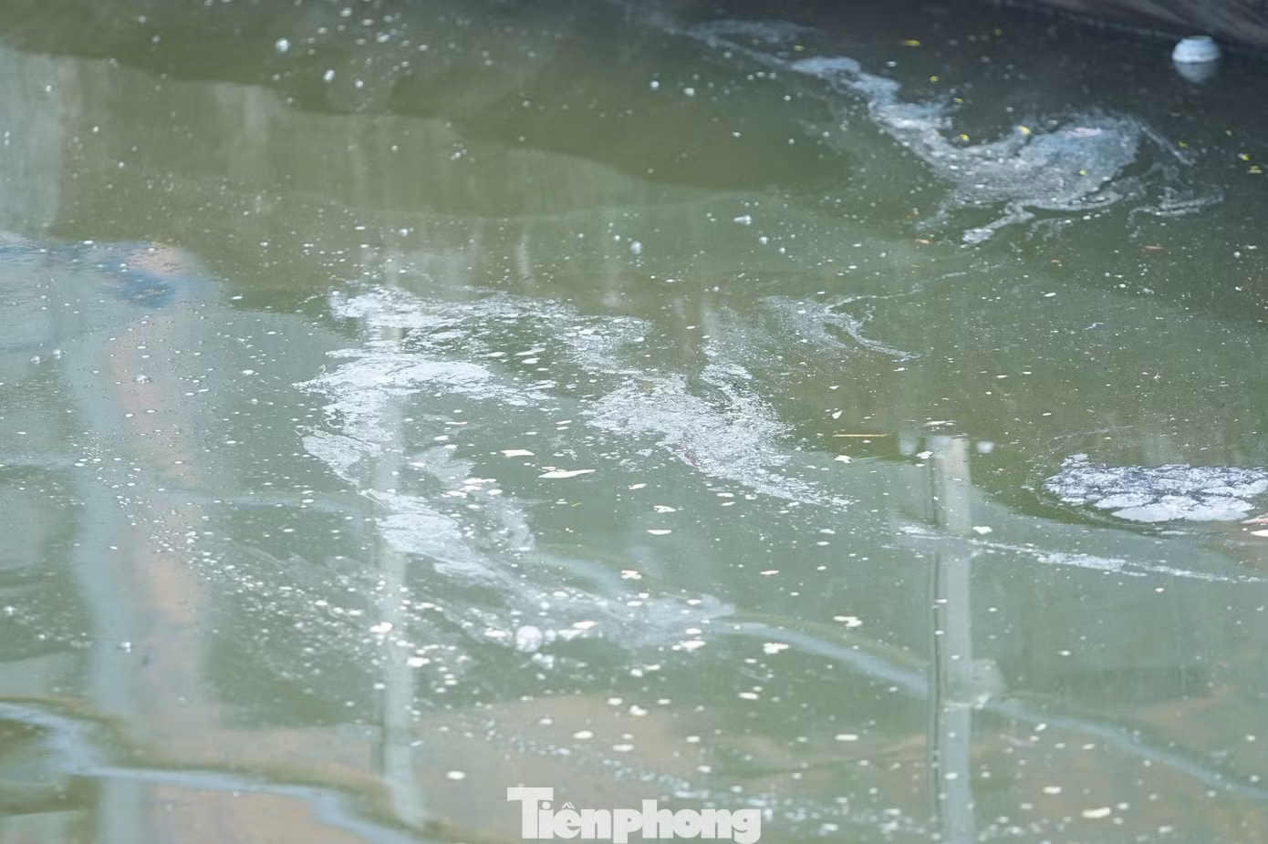 tp-thaca8.jpg
