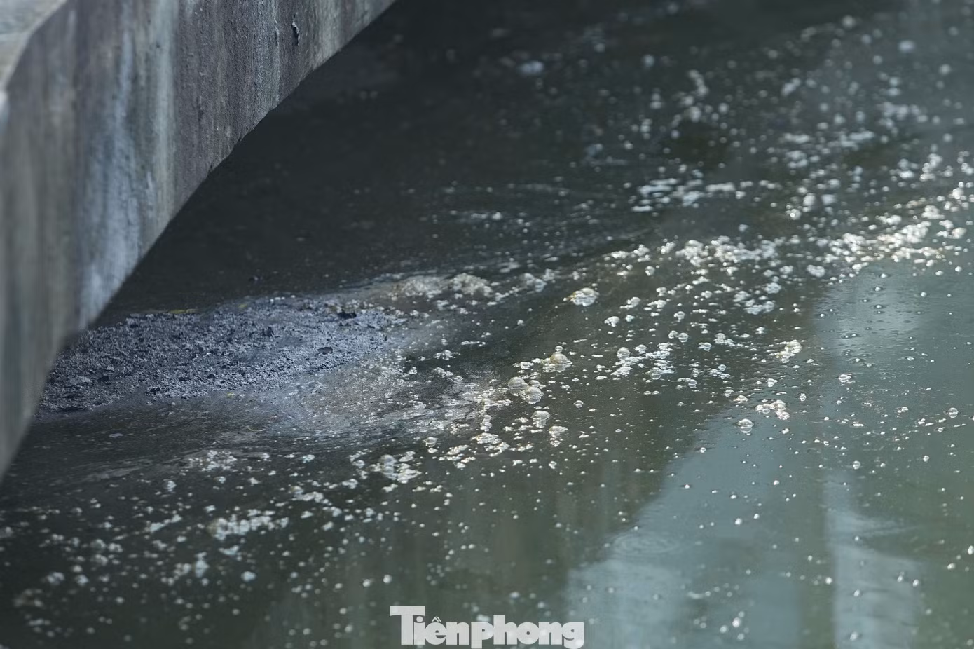 tp-thaca23.jpg