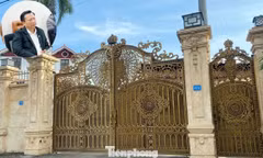 Truy tố đại gia Bình ‘đồng’, ông trùm đổ chất thải gây ô nhiễm ở Hải Phòng