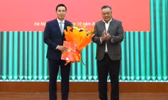 Triển khai quyết định về công tác cán bộ ở Ủy ban Kiểm tra Trung ương, Ban Nội chính Trung ương