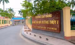 Tạm giữ hình sự đối tượng đánh nam sinh 16 tuổi ở Hải Phòng dẫn đến tử vong