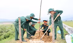 Khi người lính về làng, cùng dân dựng màu xanh