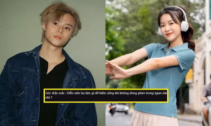Chủ đề viral: Diễn viên làm gì để kiếm sống khi không đóng phim trong thời gian dài?