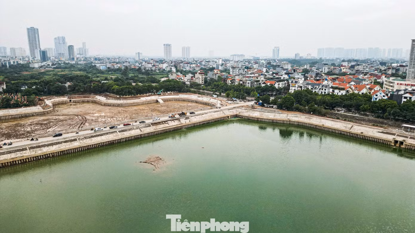 tp-d7.jpg