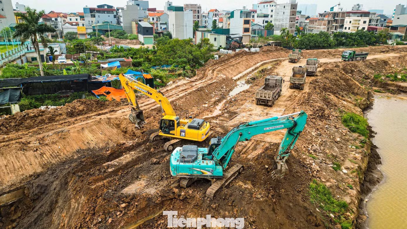 tp-yn-6-copy.jpg