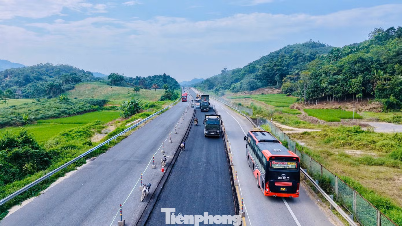 tp_ct-8073.jpg