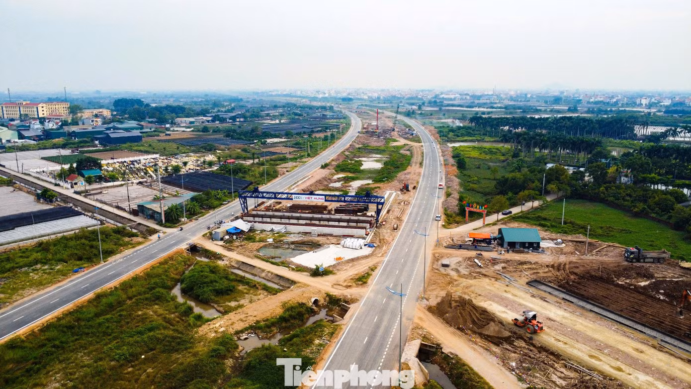 tp_sh-8425.jpg