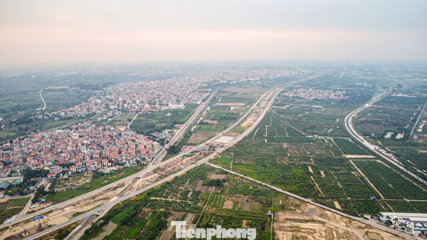 tp_sh-1369.jpg