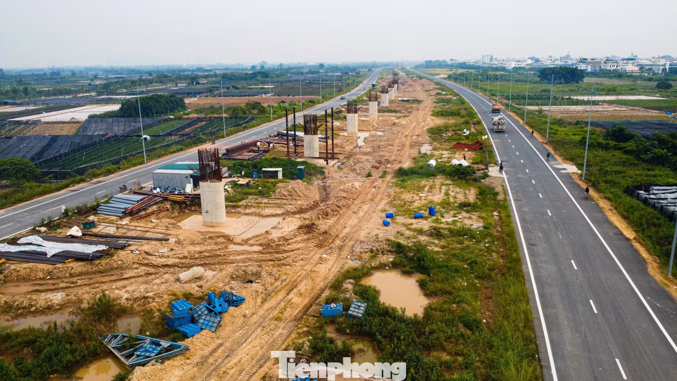 tp_sh-6476.jpg