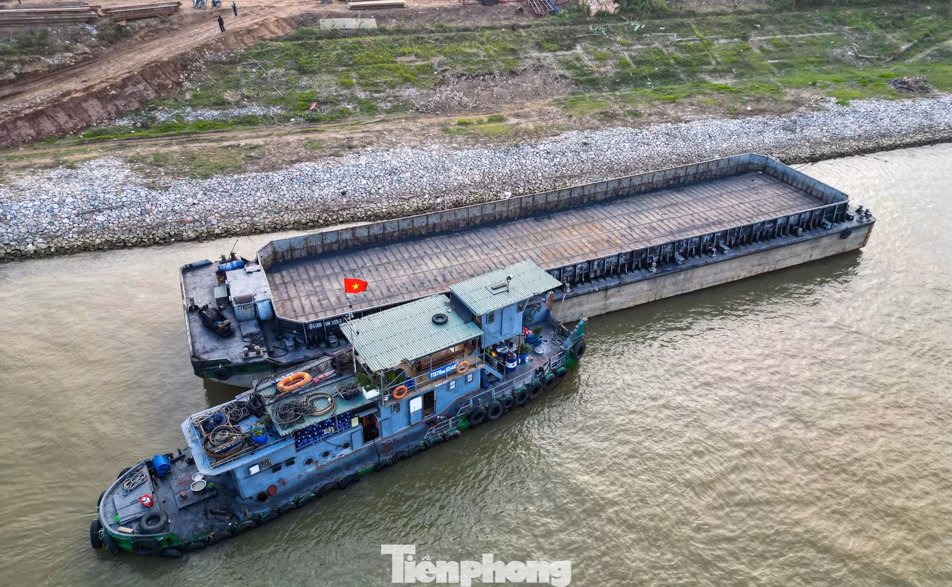 tp-ms-20.jpg