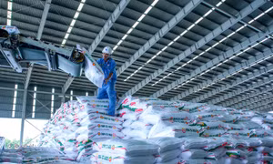 Loạt sáng chế giúp Đạm Cà Mau tiết kiệm hơn 1.500 tỷ đồng, giảm mạnh phát thải CO₂