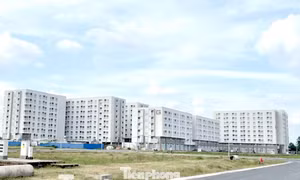 Cần Thơ chấp thuận 2 dự án nhà ở xã hội gần 6.000 tỷ đồng