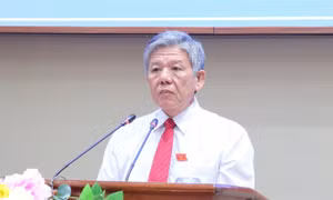 Đồng Tháp sẽ thành lập 11 phường