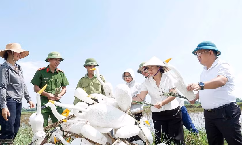 Ngành chức năng tích cực tham gia tháo dỡ “ma trận” bẫy chim trời mùa chim di cư