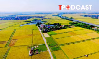 Chuyển đất nông nghiệp sang đất ở, thu bao nhiêu tiền là hợp lý?