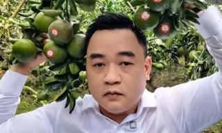 Hành trình từ trái xoài keo đến quả cam sành: A&D Hoàng Long nâng tầm giá trị trái cây Việt