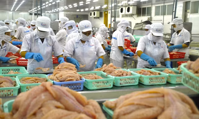Biến bùn thải từ chế biến cá tra thành phân bón hữu cơ