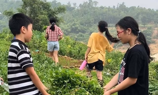Tổng Chủ biên chương trình giáo dục trải nghiệm: Không bắt buộc đưa học sinh đi xa trải nghiệm