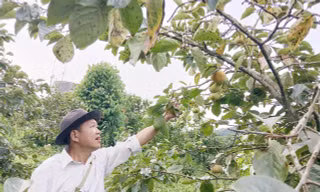 Người thầy gieo chữ, gieo mầm giảm nghèo bền vững ở nơi 'đá nhiều hơn đất'