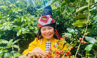 Khuyến công đang góp phần giúp nông thôn Sơn La bứt phá
