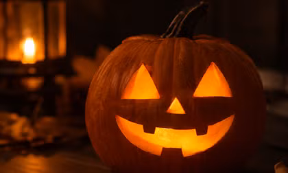Có thể bạn chưa biết: Những sự thật thú vị về trái bí ngô trong dịp Halloween