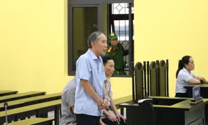 Tạm dừng phiên tòa xử vụ gây thất thoát tài sản tại Công ty Đầu tư và phát triển nhà Cà Mau
