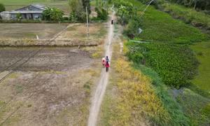 Hơn 40 năm sống khổ với đường 'lầy lội' của dân vùng kinh tế mới ven đê biển Tây