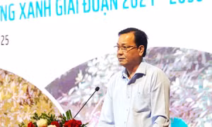 Cà Mau dựng 'lá chắn xanh' từ rừng ngập mặn để ứng phó sạt lở