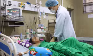 Trốn vào bụi cây hù anh, bé gái bị ong vò vẽ đốt hơn 70 vết 