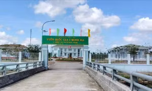 Vụ bán hàng nghìn vé câu cá 'tự in': Kiến nghị kiểm điểm Giám đốc Vườn quốc gia U Minh Hạ