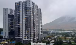 Nhà ở xã hội cho thuê: 'Liều thuốc' ngăn chặn đầu cơ bất động sản?