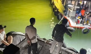Rầm rộ bán ‘tour câu mực đêm’ trái phép trên vịnh Hạ Long