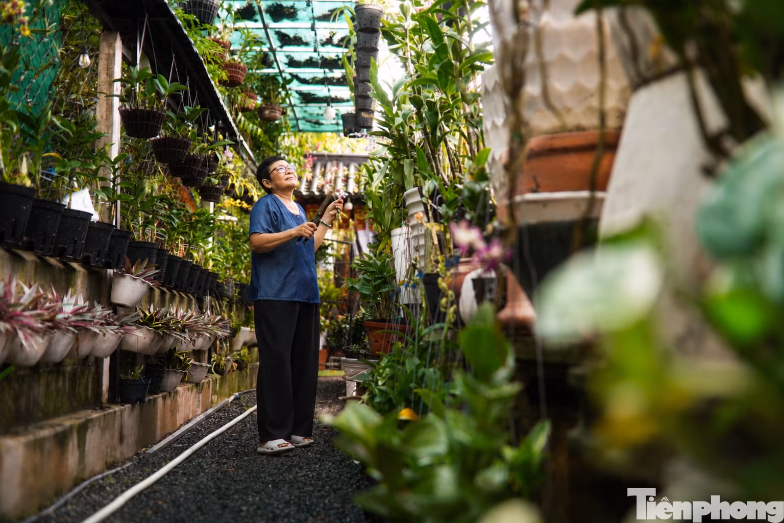 tp-br_chatgpt-image-23-25-11-31-thg-7-2026.png