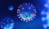 Hình ảnh virus corona