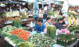 Nông sản Trung Quốc tràn ngập, chỉ mang tính thời vụ