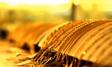 Giá vàng có xu hướng giảm nhẹ, USD ổn định