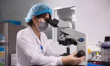 Chỉ hơn 2% tạp chí khoa học của Việt Nam lọt vào danh mục Scopus, WoS