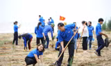 Trung ương Đoàn phát động trồng cây tại bãi biển ở Nghệ An. Ảnh: Dương Triều
