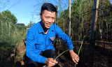 Khởi nghiệp ở 'cổng trời'