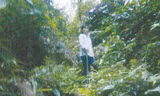 Đời phu vàng