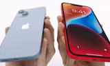 Vì sao dòng điện thoại iPhone 14 Plus lại là minh chứng cho sai lầm của Apple?