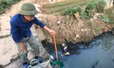Hà Nội quyết 'hồi sinh' các dòng sông: Lời 'kêu cứu' từ những 'xóm nước đen'
