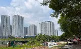 Chủ tịch Hà Nội: Thu hồi các ô đất bỏ hoang, xây trường giải quyết việc 'bốc thăm suất học'